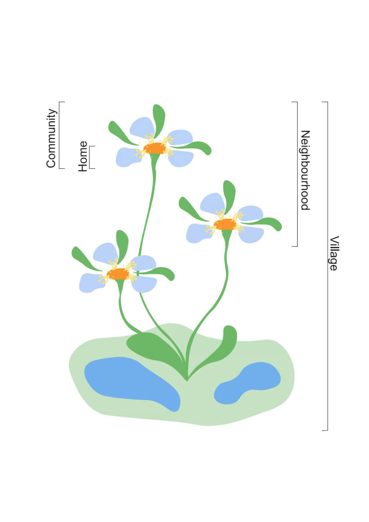 Flower Diagram w